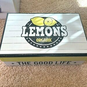 Lemon and Pineapple party accessoriess🍋🍍